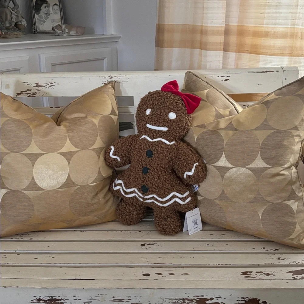 Pottery Barn Ms. Spice Gingerbread Pillow